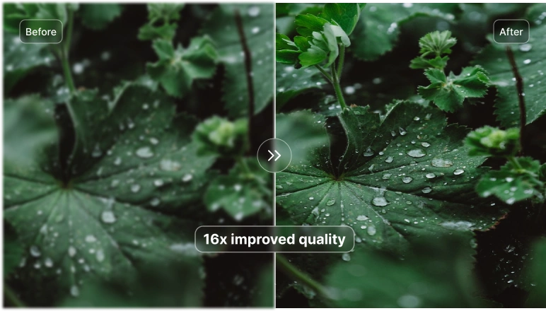 Video Super Resolution
